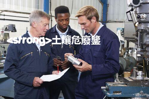 <strong>土壤危廢鑒定流程隱秘的廢棄物：揭開城市底下的神秘面紗！</strong>